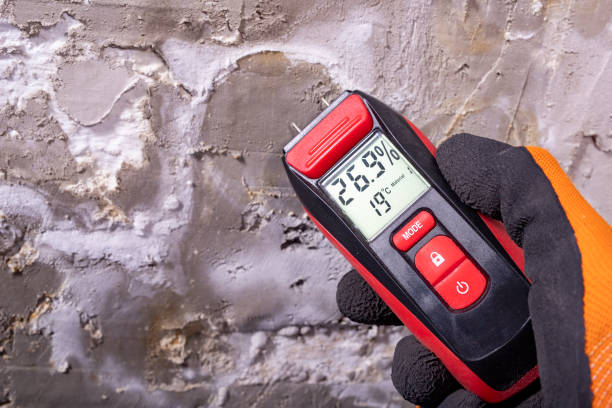 Best Commercial Mold Remediation in Pomona, NY
