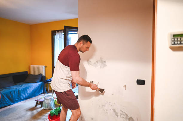 Best Crawl Space Mold Remediation in Pomona, NY